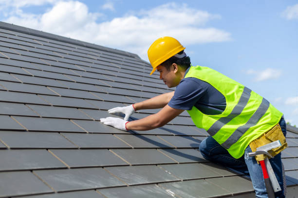 Professional Roofing Contractor in Brighton, CO